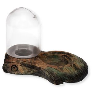 Terrarium Reptilien Wasserspender Wasser Automat Trinkschale Wasserschale Terrarium Reptilien Wasserspender Wasser Automat Trinkschale Wasserschale