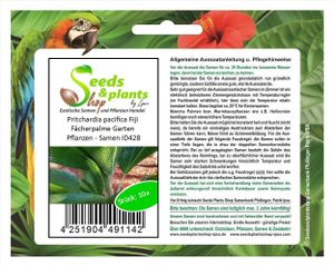 10x Pritchardia pacifica Fiji Fächerpalme Garten Pflanzen - Samen ID428