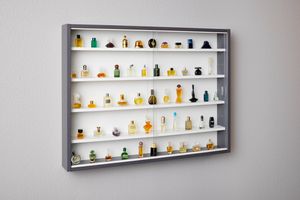 Inter Link Sammlervitrine COLLECTY Grau Weiß