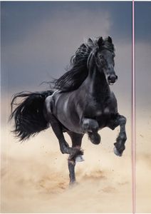 folia Zeichnungsmappe BASIC "Black Horse" Karton DIN A3