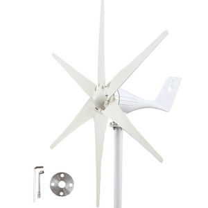 Windturbine, EU-Lieferung, Zollfrei, 12V, Nur Windturbine