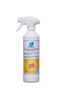 Glasreiniger mit Lotuseffekt (Abperleffelt) Spray 0,5L 500 ml Gebrauchsfertiger Scheiben-Reiniger