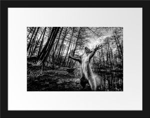 Lustiges Eichhörnchen steht im Wald, MonochromeBilderrahmen mit Galerie-Passepartout / Format: 38x30cm / gerahmt / hochwertige Leinwandbild Alternative