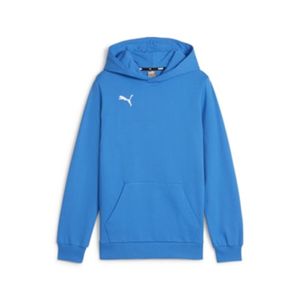 PUMA Kinder teamGOAL Casuals Hoody Sweatshirt Pullover 658619 blau, Bekleidung:164