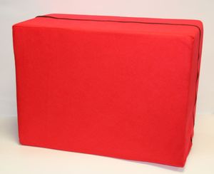 Bandscheibenwürfel Aloe Vera blau rot schwarz - Auswahl: Bandscheibenwürfel rot