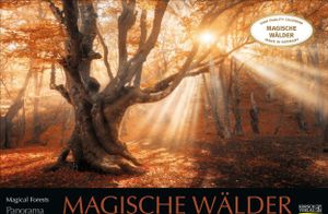 Magische Wälder 2025 Magische Wälder 2025