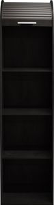 Jalousieschrank "Jalousieschrank" in schwarzstahl / graphit mit 2 Einlegeböden. Abmessungen (BxHxT) 46x192x44 cm
