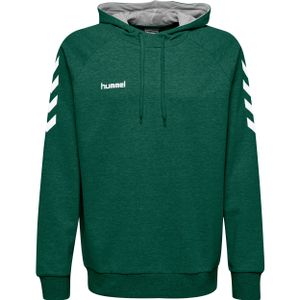 hummel GO Baumwoll Hoodie Herren evergreen XXL