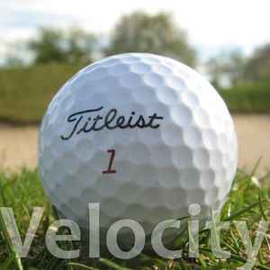 50 Titleist Velocity Lakeballs / Golfbälle - Qualität Aaaa / Aaa