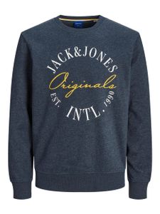 Jack & Jones Pullover Willow Langarmshirt