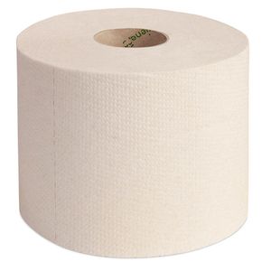 Green Hygiene® Toilettenpapier ROLF 2-lagig 36 Rollen
