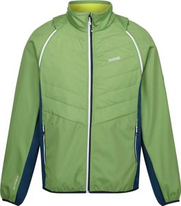 Regatta - pánská hybridní bunda "Steren II" RG10503 (L) (Pikant green/bright blue/lemon lime)