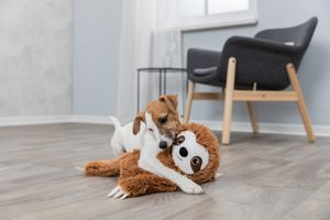 Trixie Faultier aus Plüsch mit Stimme