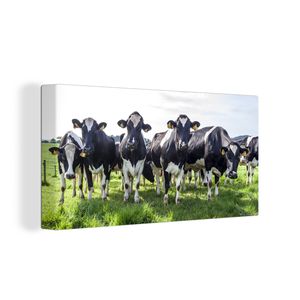 OneMillionCanvasses® - Leinwandbilder - Bild auf Leinwand Wandbild Leinwandbild Kühe - Licht - Frühling, 80x40 cm, Kunstdruck Wandkunst Gemälde auf Holzrahmen  - Bilder auf Leinwand