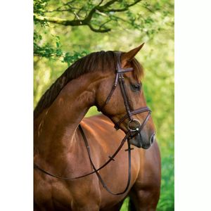 Kerbl Trensenzaum Classic Leder Braun Pony 324911