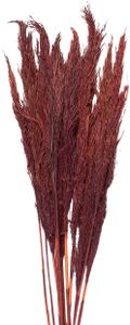 Clayre & Eef 5DF0032 Suszone kwiaty bambusa 100 cm (10) czerwony