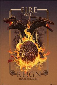 House of the Dragon Fire will reign Film Poster Plakat Größe 61x91,5 ohne Zusatzartikel