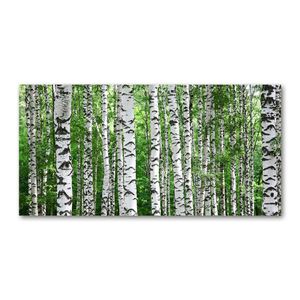 Tulup Acrylglas - Wandkunst - 100 x50 cm -  Bild auf Plexiglas® Dekorative Wand für Küche & Wohnzimmer  - Blumen & Pflanzen - Birken - Weiß