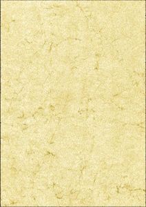 RNK Elefantenhautpapier neutral A4 110g ch