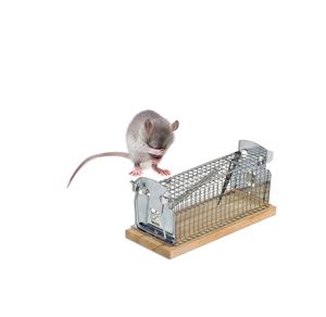 Rattenfalle kaufen, Schlagfallen & Lebendfallen