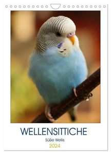 WELLENSITTICHE - Süße Wellis (Wandkalender 2024 DIN A4 hoch), CALVENDO Monatskalender