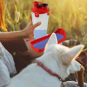 Trinkflasche für Hunde mit Trinknapf Hunde Napf Reise Wasserflasche 500 ml