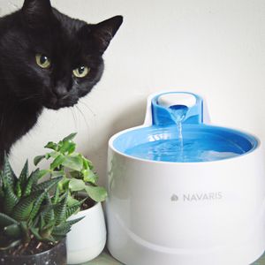 Navaris Wasser Trinkbrunnen für Katzen - 2 Liter Wasserbrunnen Katzenbrunnen mit Filter und Tauchpumpe - Einstellbarer Wasserfluss - auch für Hunde