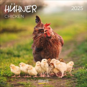 Hühner 2025 Hühner 2025