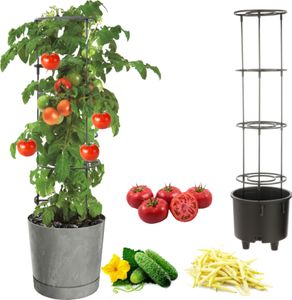Kvetináč na zeleninu popínavá paradajka uhorka fazuľa Ø30 cm sivý betón