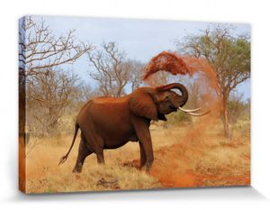 Elefanten Poster Leinwandbild Auf Keilrahmen - Afrikanischer Elefant Nimmt Eine Sanddusche (20 x 30 cm)