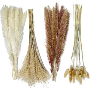 80 Stück Pampasgras Boho Home Decor  natürliche trockenblumen deko - Pampasgras deko enthält Hasenschwänze weiß Pampas braun Pampas.Boho Deko für Bauernhaus Hochzeit Boho Wand Bad Büro Küche