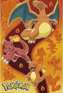 Pokémon Poster Unisex Fire Starters multicolor Standard