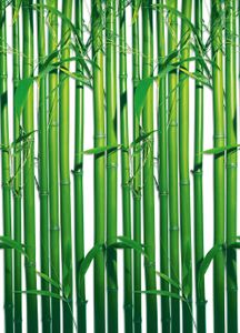 Bamboo - Papier  Fototapete (4-teilig, 183 x 254 cm), inklusive Anleitung und Qualitätskleister