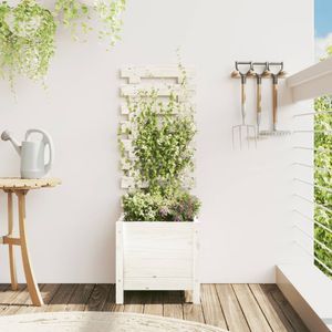 vidaXL Sadzarka z podporą do wspinaczki biała 39x39,5x114 cm lite drewno sosnowe