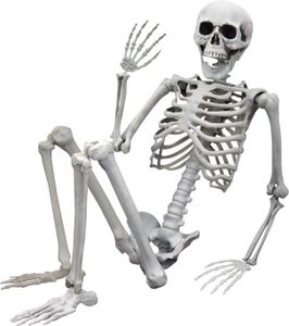 Kostra človeka v životnej veľkosti 170 cm - Halloweenska dekorácia a zábavný doplnok
