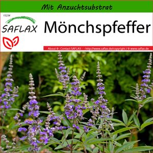 SAFLAX - Heilpflanzen - Mönchspfeffer - 30 Samen - Mit keimfreiem Anzuchtsubstrat - Vitex agnus-castus