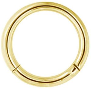 Karisma Titan Gold G23 Hinged Segmentring Charnier/Septum Clicker Helix Ring Piercing Ohrring - 7.0 Millimeter