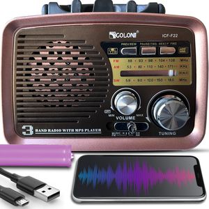 Retro Bluetooth rádio AM FM SW kufřík rádio podporuje USB SD karty slot přenosné rádio baterie dřevěný vzhled případ Vintage rádio Retoo