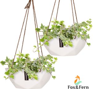 Fox & Fern Blumenampel für Blumentopf, Leichte Blumenampel für Innen, 2er-Set Blumentopf Hängend, Moderner Hängetopf für Pflanzen, Geometrischer Hängender Topf für Wohnzimmer, Wand & Fenster, 12 cm