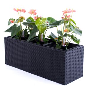 Rattan Blumenkästen günstig online kaufen Kaufland.de