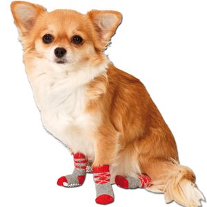 Karlie Doggy Socks Hundesocken 4er Set - Rot/Grau L