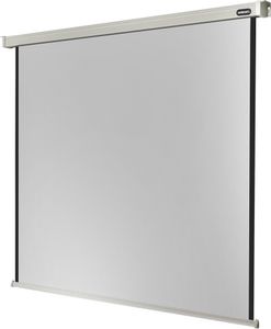 celexon Leinwand Motor Professional 300 x 300 cm