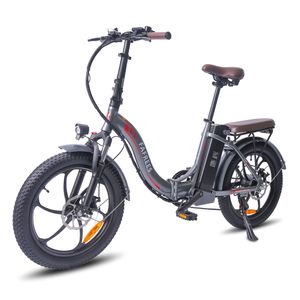 FAFREES F20 Pro 20 Zoll E-Bike Elektrofahrrad Elektrisches Fahrrad Electric Bike City E-Bikes Citybike E-Faltrad E-Trekkingrad mit LED Leucht Scheinwerfer 25km/h 250W 36V 18Ah - Grau