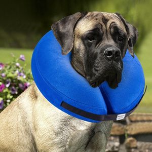 Bencmate Aufblasbare Halskrause für Hunde & Katzen, Hundekragen Leckschutz Hund für Genesung nach