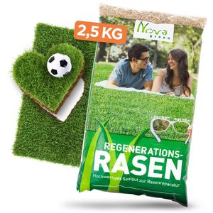 Premium Rasensamen Nachsaat schnellkeimend 2,5kg=75-100m² Reparaturrasen, schließt extrem schnell Lücken im Gras I Dichte, extra grüne Rasenfläche