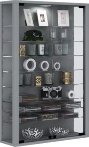 Vitrinenschrank Glas Wandschrank Vitrine Sammlervitrine Hängeschrank silber