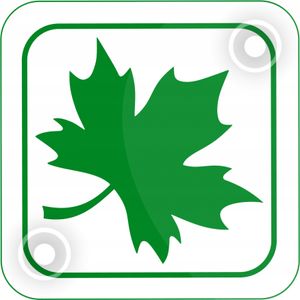 ZIELONY LISTEK Młodego Kierowcy Przyssawki - bez śladów na aucie ! OEM