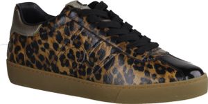 Högl 110317-229 Damensneaker, Leder, Camel/Multi, Wechselfußbett - Damenschuhe Top Trends, Braun, &nbsp &nbsp leder (leokid)&nbsp &nbsp &nbsp &nbsp &nbsp &nbsp &nbsp &nbsp &nbsp &nbsp &nbsp &nbsp &nbsp &nbsp &nbsp &nbsp &nbsp &nbsp &nbsp &nbsp