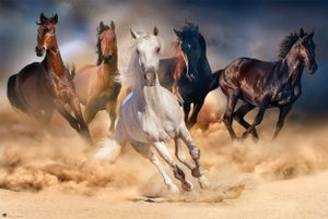 Pferde - Five horses Poster, Plakat