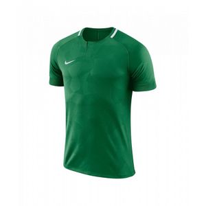 Nike M NK DRY CHALNG II JSY SS | PINE GREEN/WHITE/PINE GREEN/WHITE | Größe: S